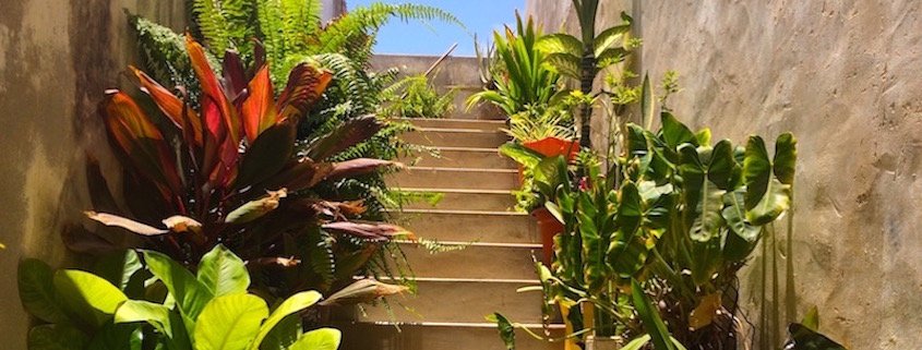 Stair case in Vila do Maio