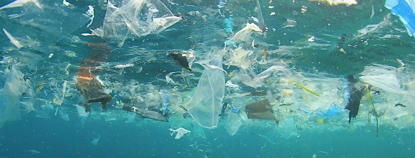 Plastic pollution in the oceans